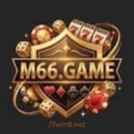 M66 Game